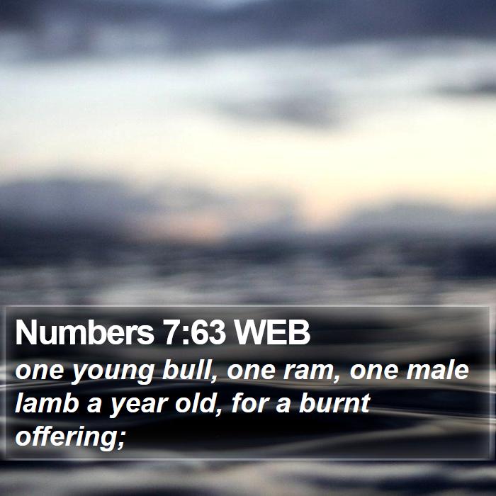 Numbers 7:63 WEB Bible Study