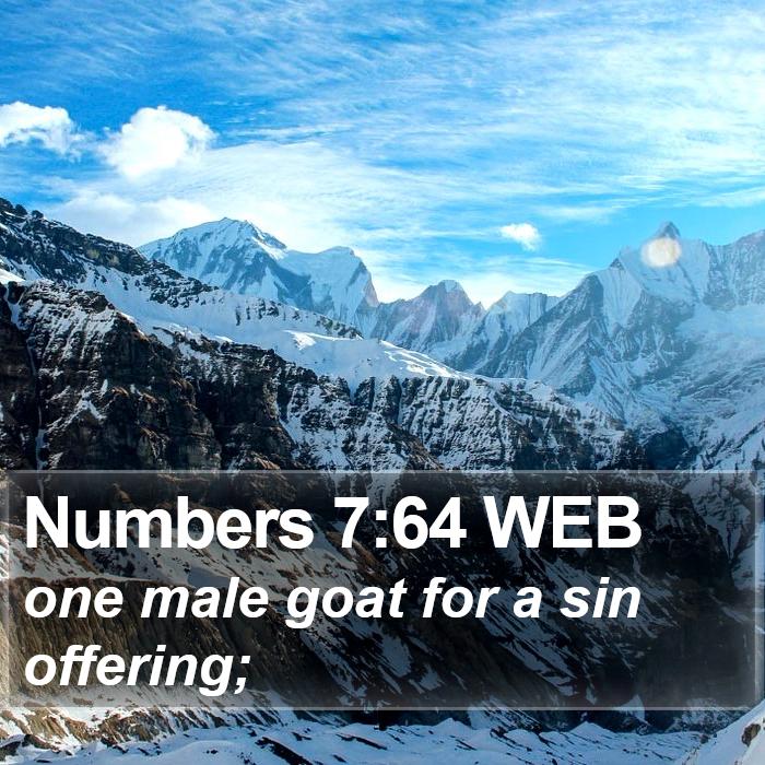 Numbers 7:64 WEB Bible Study