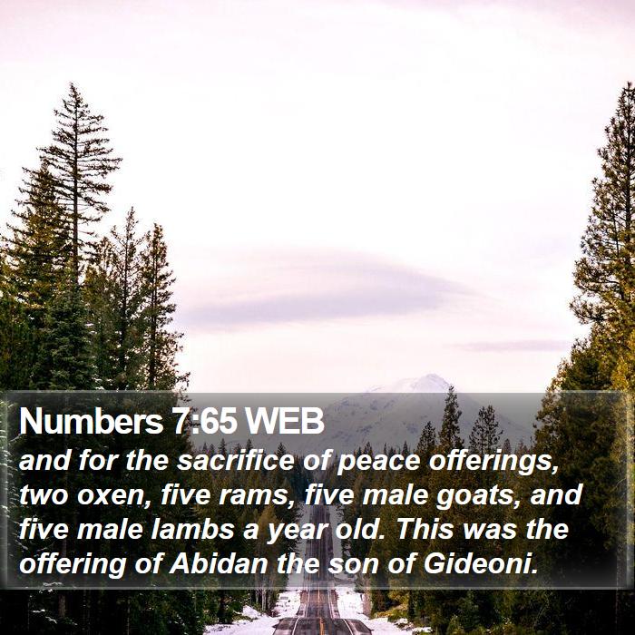 Numbers 7:65 WEB Bible Study