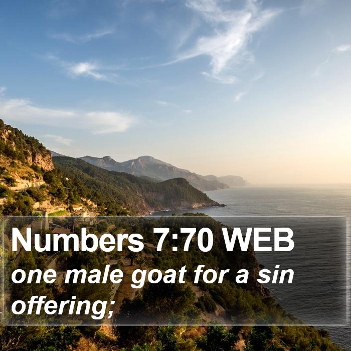 Numbers 7:70 WEB Bible Study