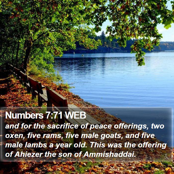 Numbers 7:71 WEB Bible Study