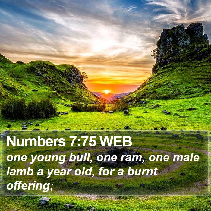 Numbers 7:75 WEB Bible Study