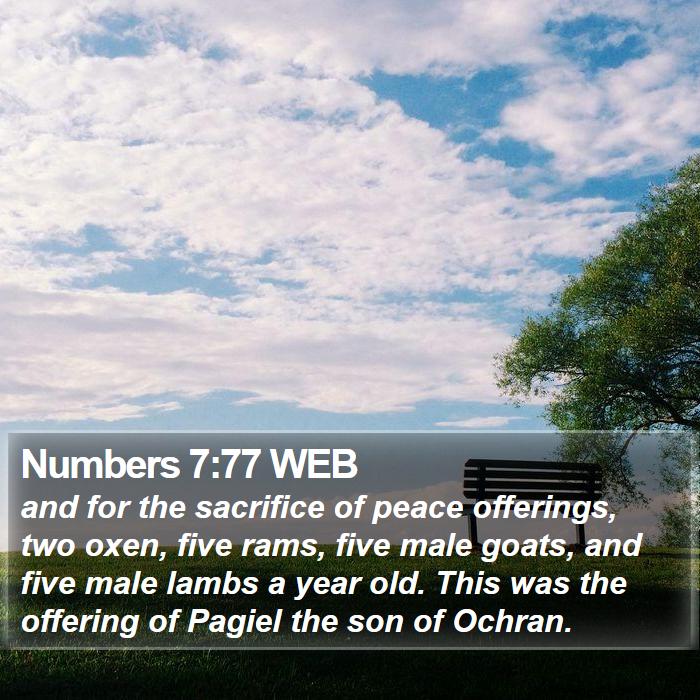 Numbers 7:77 WEB Bible Study