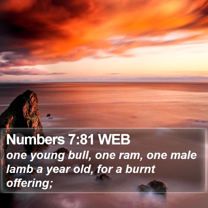 Numbers 7:81 WEB Bible Study