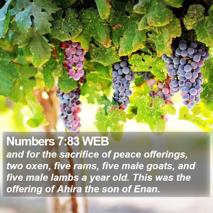 Numbers 7:83 WEB Bible Study