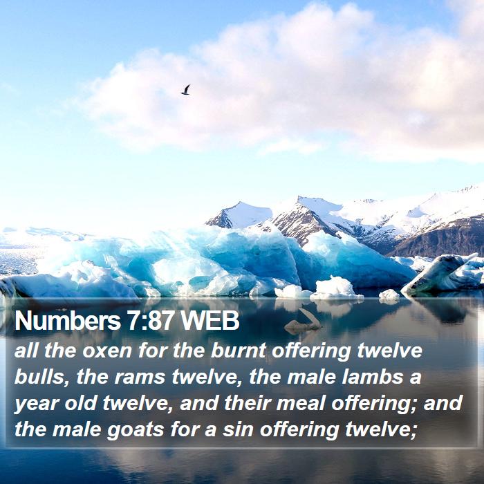 Numbers 7:87 WEB Bible Study