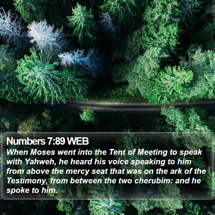 Numbers 7:89 WEB Bible Study