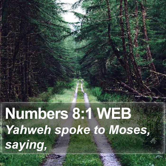 Numbers 8:1 WEB Bible Study