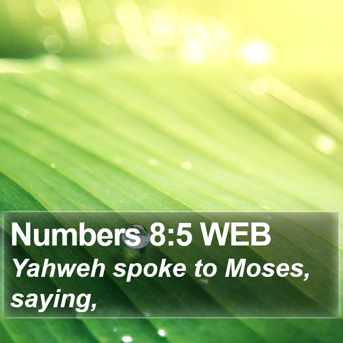 Numbers 8:5 WEB Bible Study