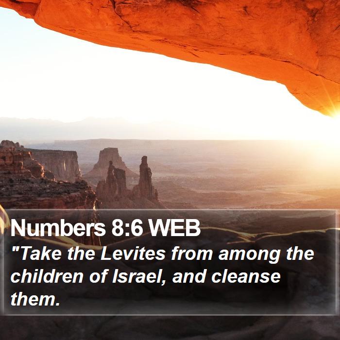 Numbers 8:6 WEB Bible Study