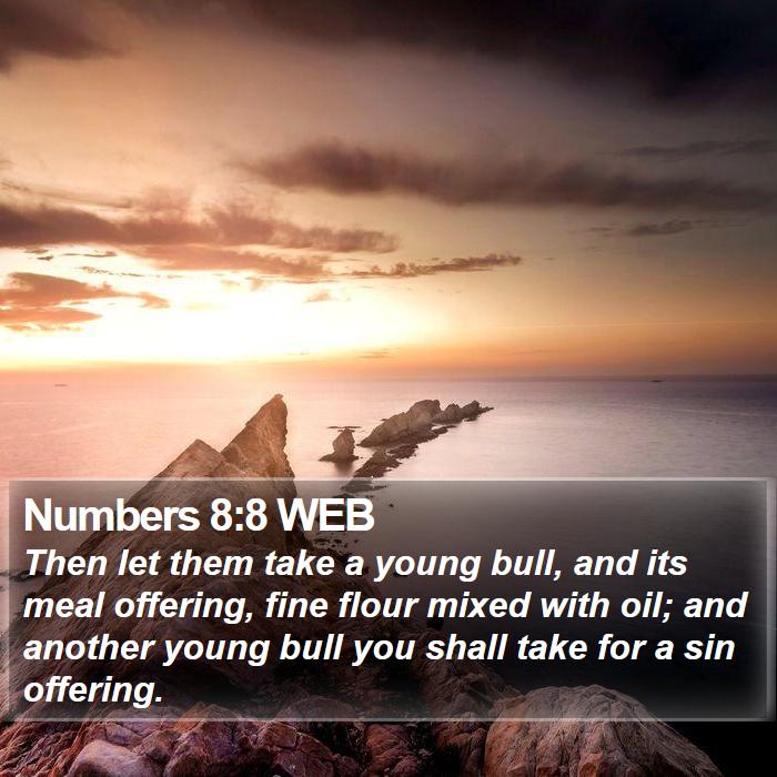 Numbers 8:8 WEB Bible Study