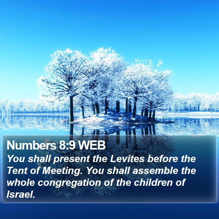 Numbers 8:9 WEB Bible Study