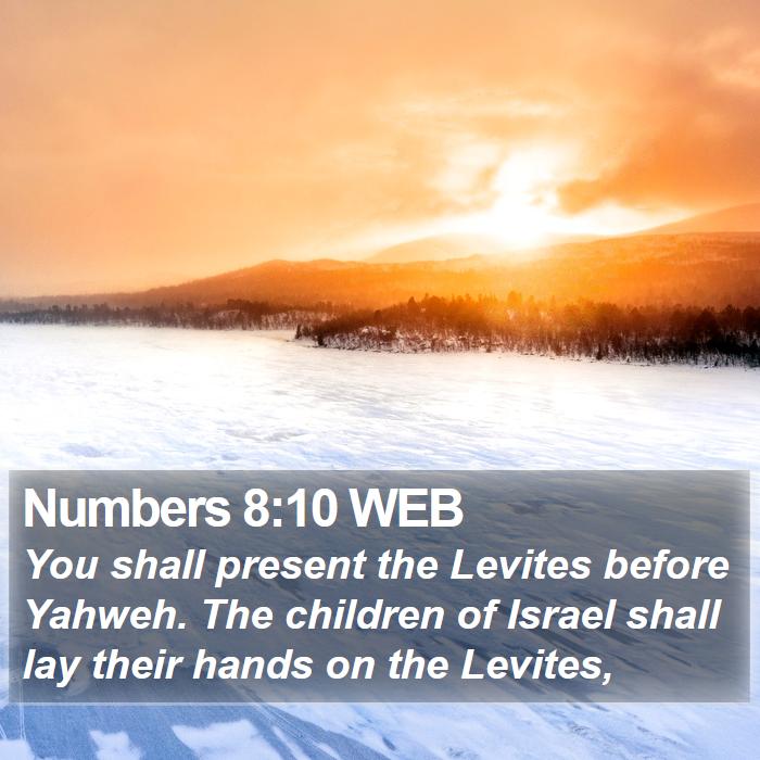 Numbers 8:10 WEB Bible Study