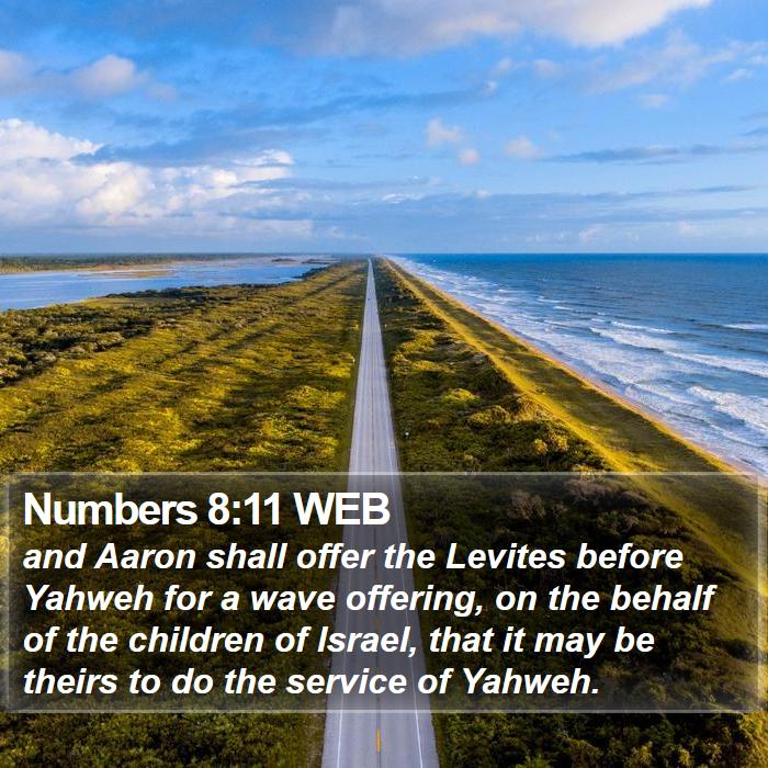 Numbers 8:11 WEB Bible Study