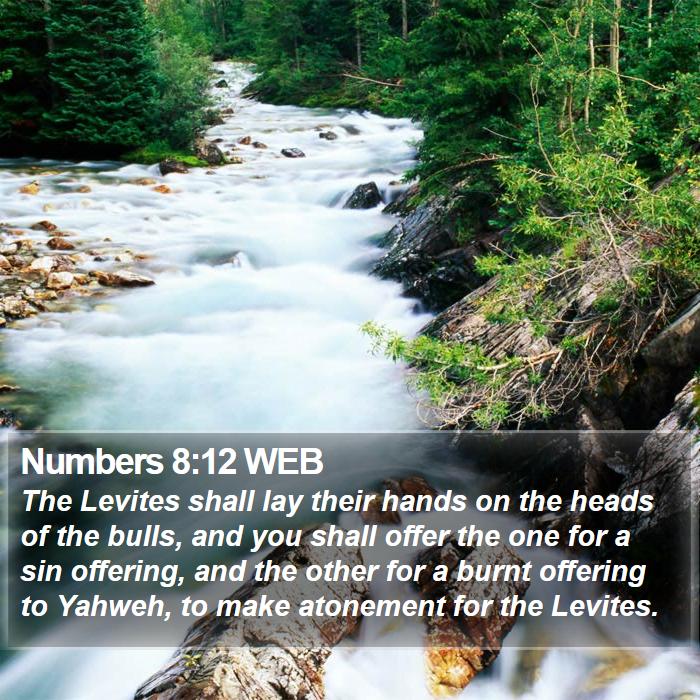 Numbers 8:12 WEB Bible Study