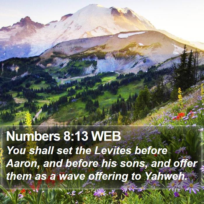 Numbers 8:13 WEB Bible Study