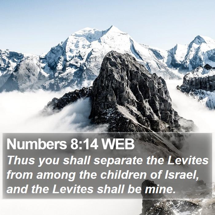 Numbers 8:14 WEB Bible Study