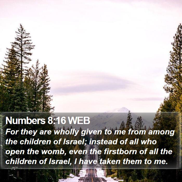 Numbers 8:16 WEB Bible Study