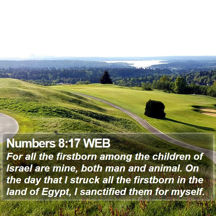 Numbers 8:17 WEB Bible Study