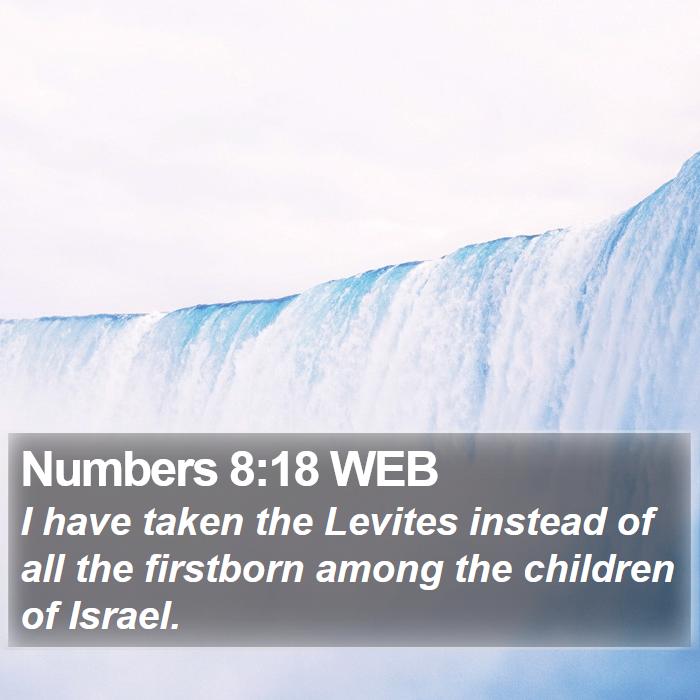 Numbers 8:18 WEB Bible Study