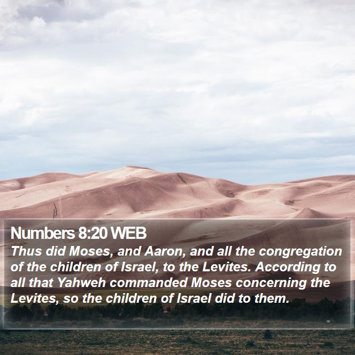 Numbers 8:20 WEB Bible Study