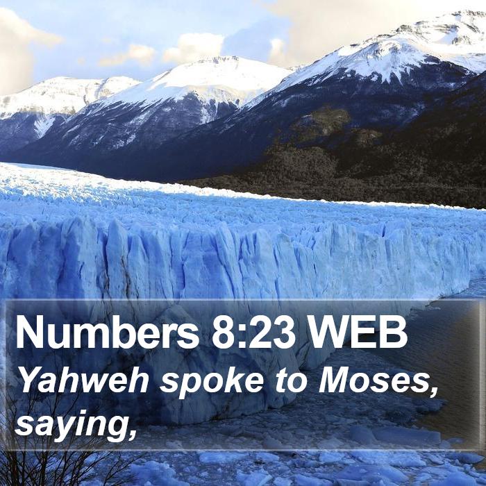 Numbers 8:23 WEB Bible Study