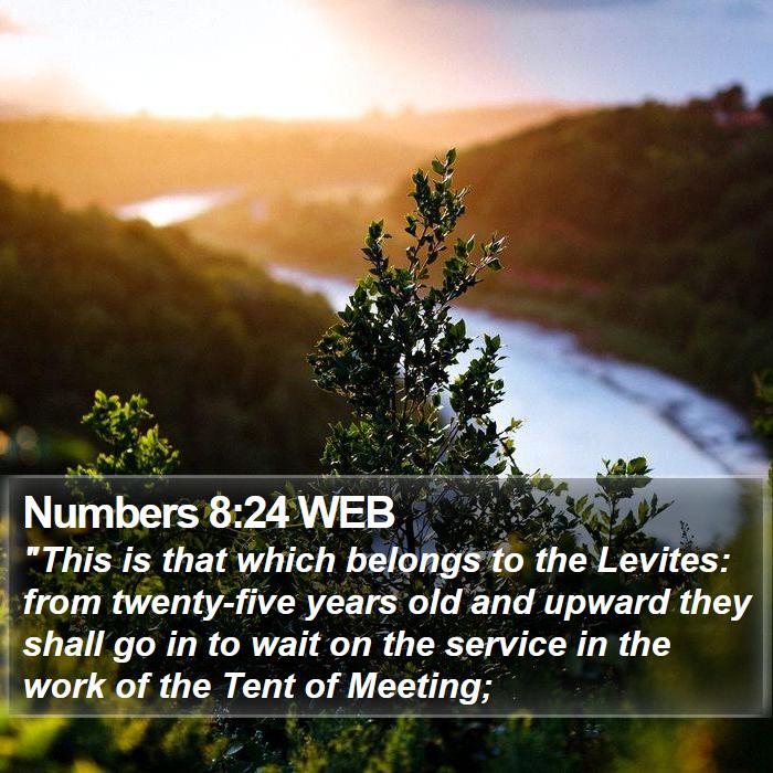 Numbers 8:24 WEB Bible Study