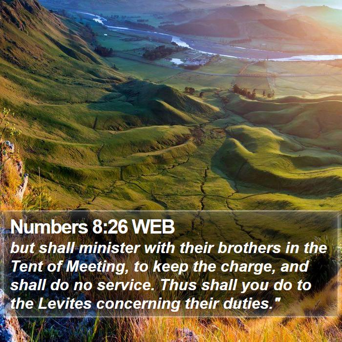 Numbers 8:26 WEB Bible Study