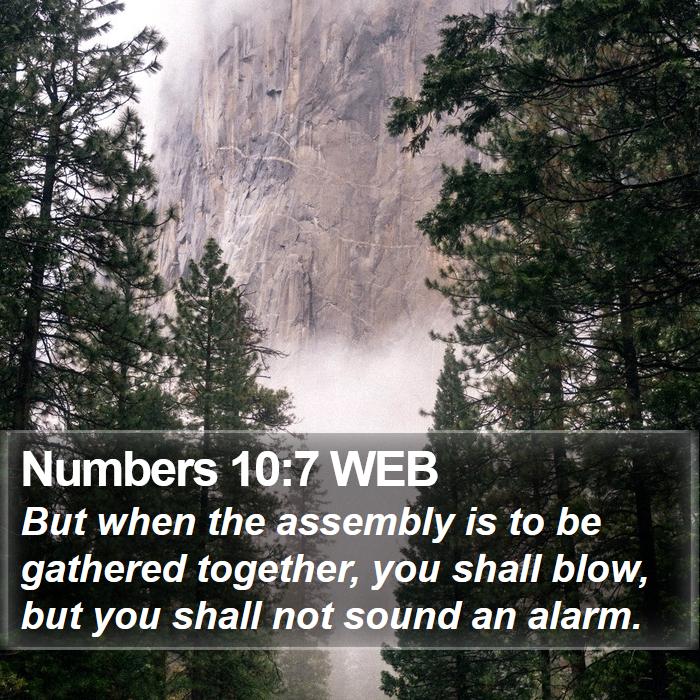 Numbers 10:7 WEB Bible Study