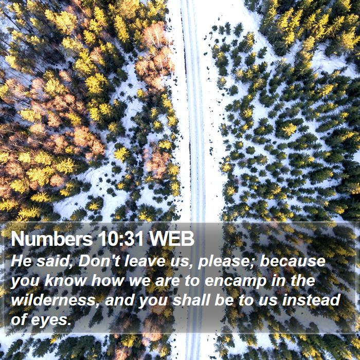 Numbers 10:31 WEB Bible Study