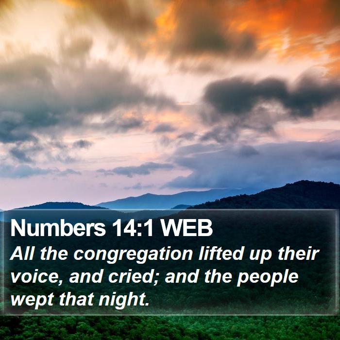 Numbers 14:1 WEB Bible Study