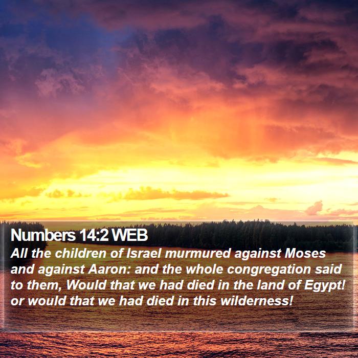 Numbers 14:2 WEB Bible Study