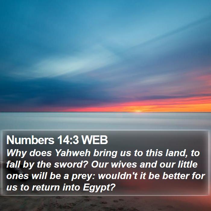 Numbers 14:3 WEB Bible Study