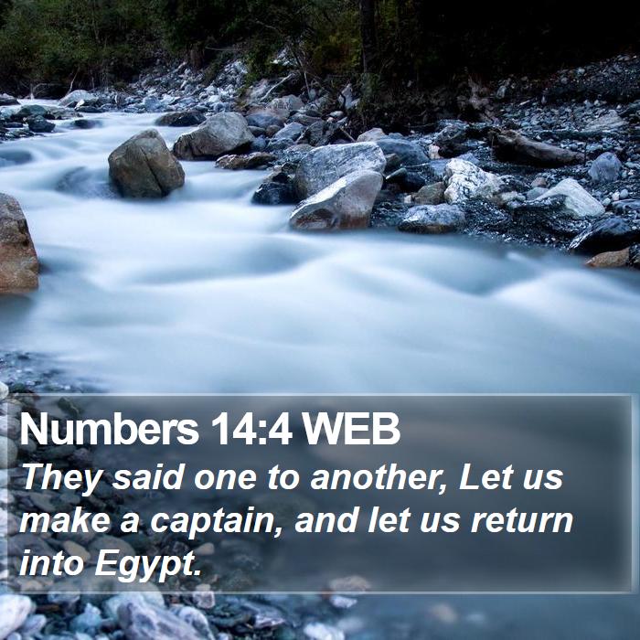 Numbers 14:4 WEB Bible Study