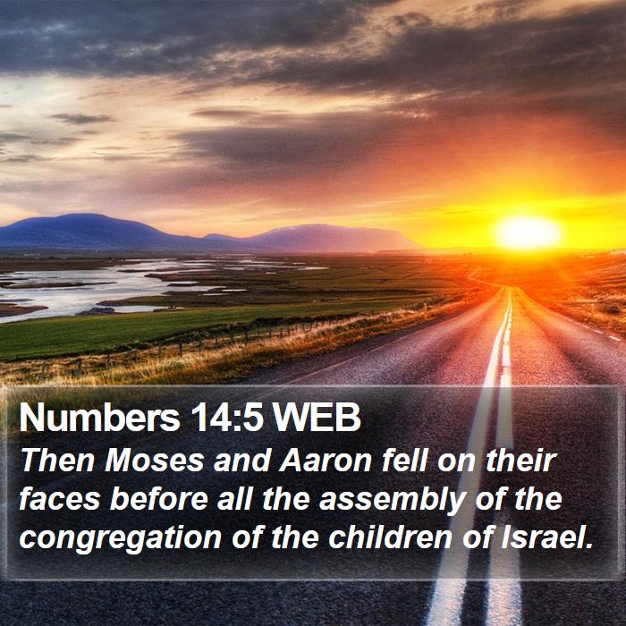 Numbers 14:5 WEB Bible Study