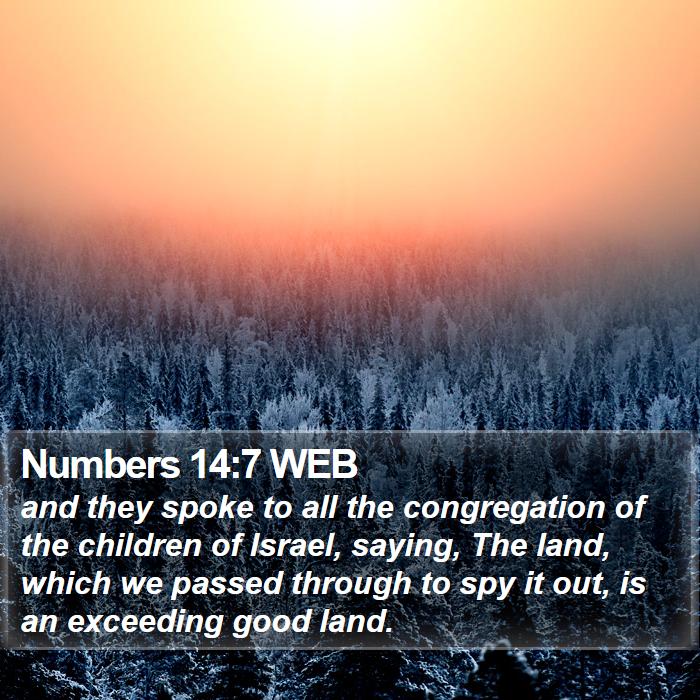 Numbers 14:7 WEB Bible Study