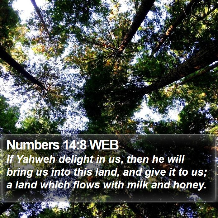 Numbers 14:8 WEB Bible Study