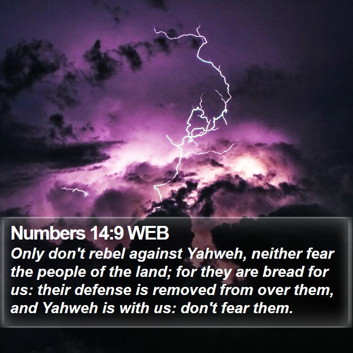 Numbers 14:9 WEB Bible Study