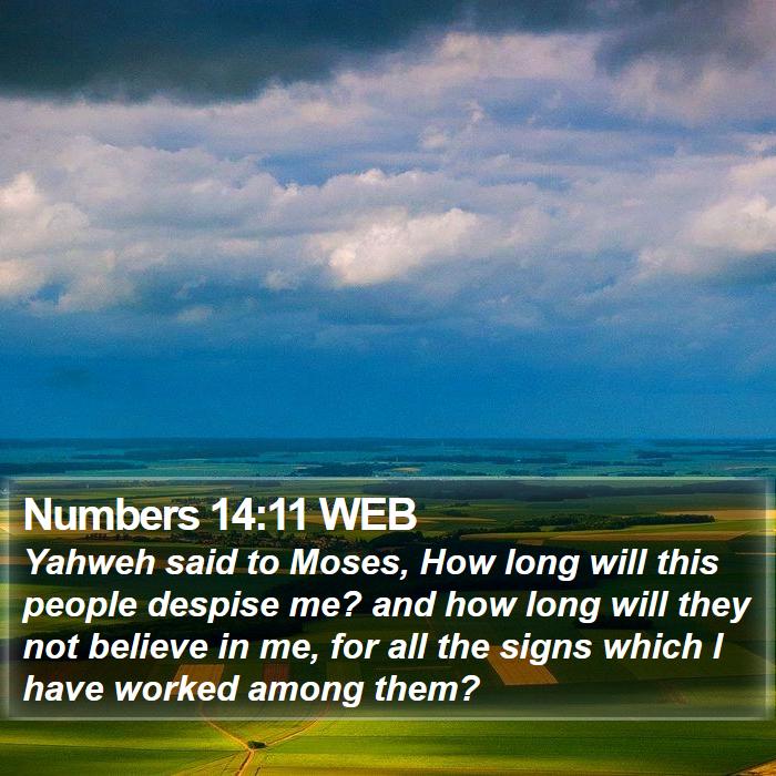 Numbers 14:11 WEB Bible Study