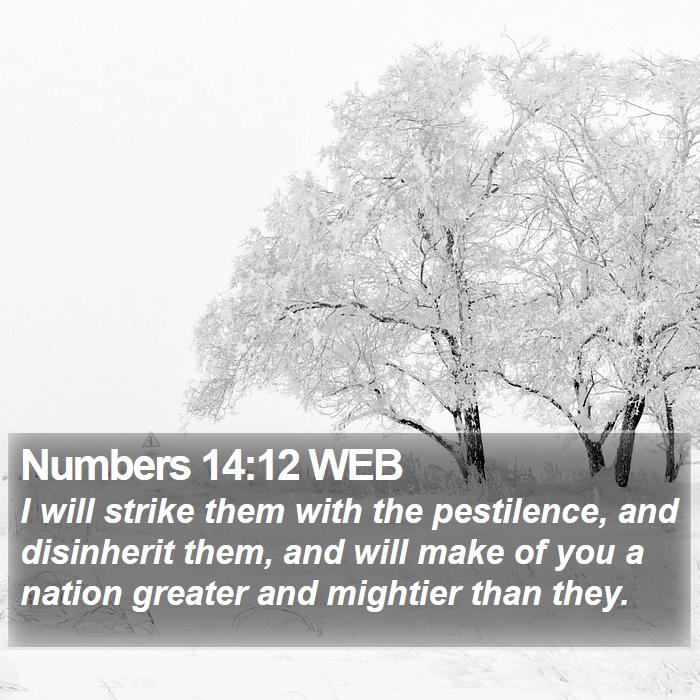 Numbers 14:12 WEB Bible Study