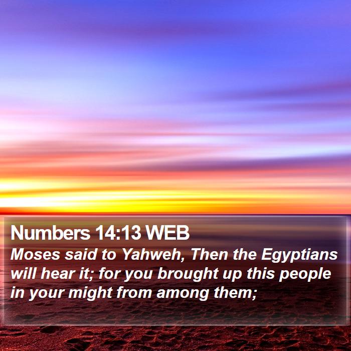 Numbers 14:13 WEB Bible Study