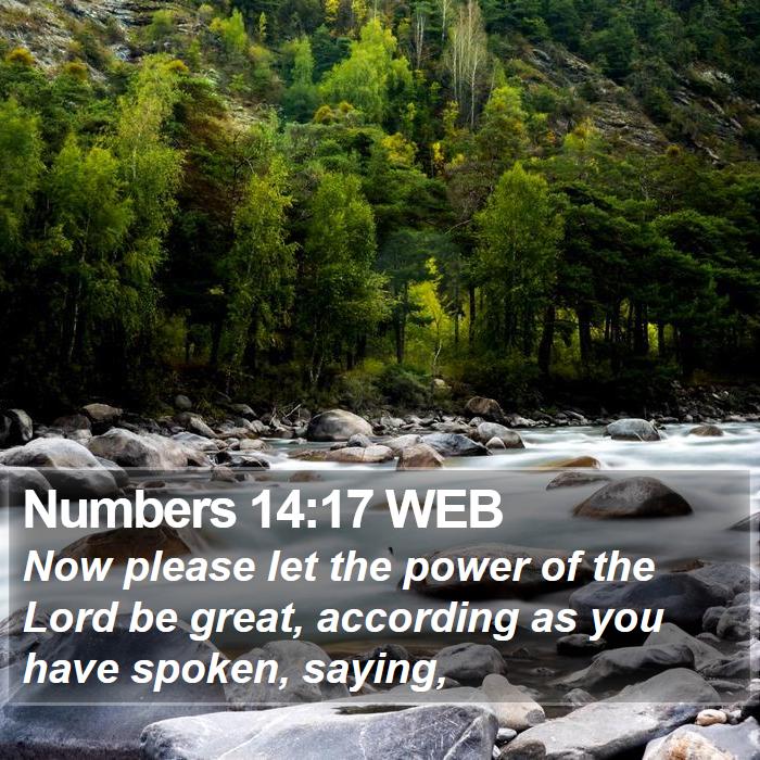 Numbers 14:17 WEB Bible Study