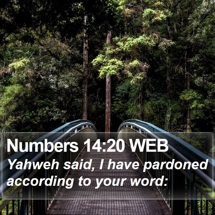 Numbers 14:20 WEB Bible Study