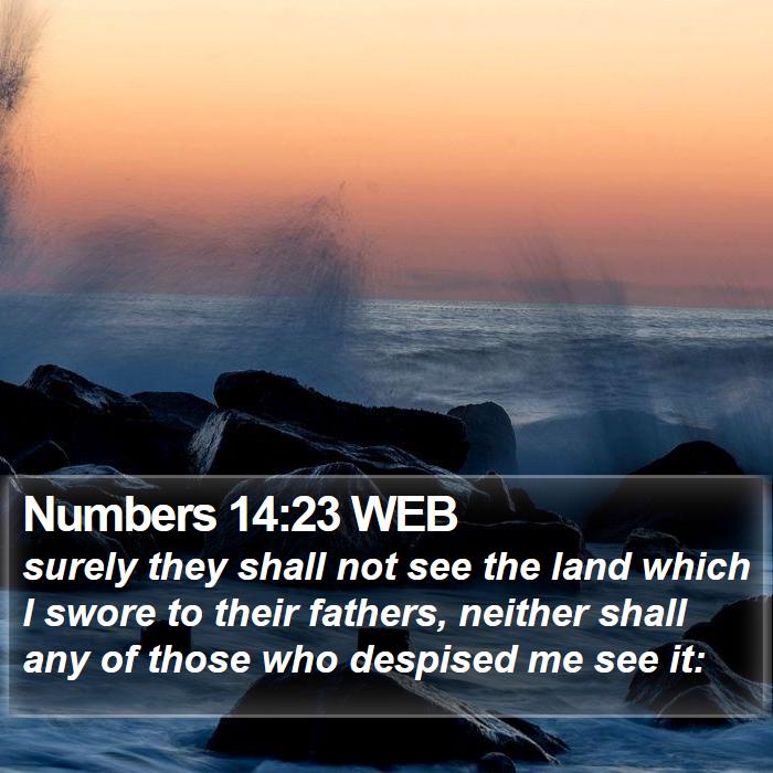 Numbers 14:23 WEB Bible Study