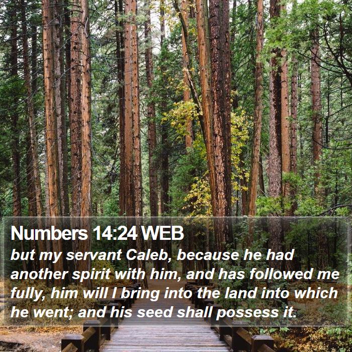 Numbers 14:24 WEB Bible Study