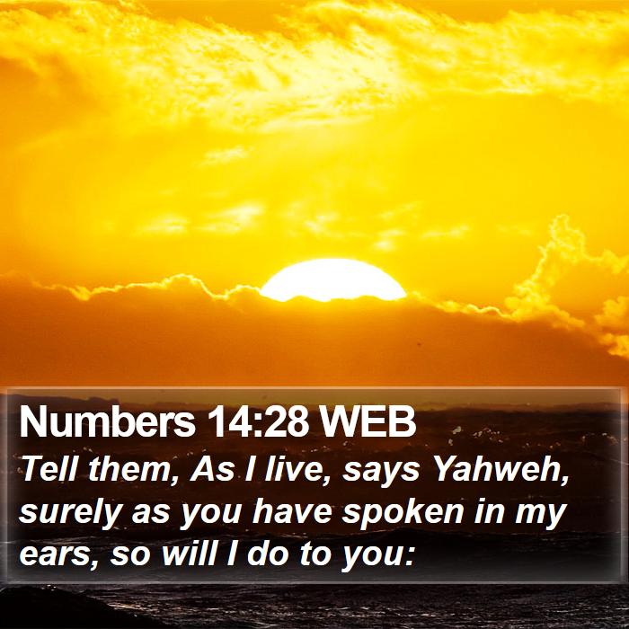 Numbers 14:28 WEB Bible Study