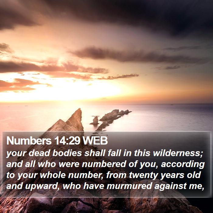 Numbers 14:29 WEB Bible Study