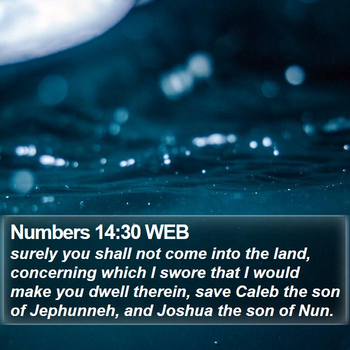 Numbers 14:30 WEB Bible Study