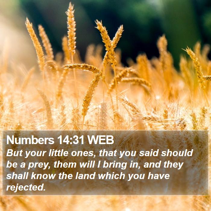 Numbers 14:31 WEB Bible Study