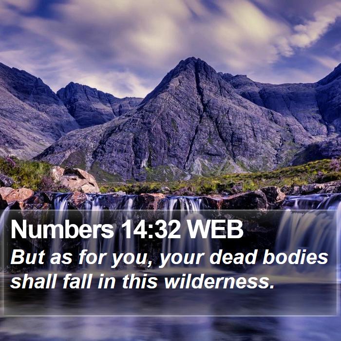 Numbers 14:32 WEB Bible Study